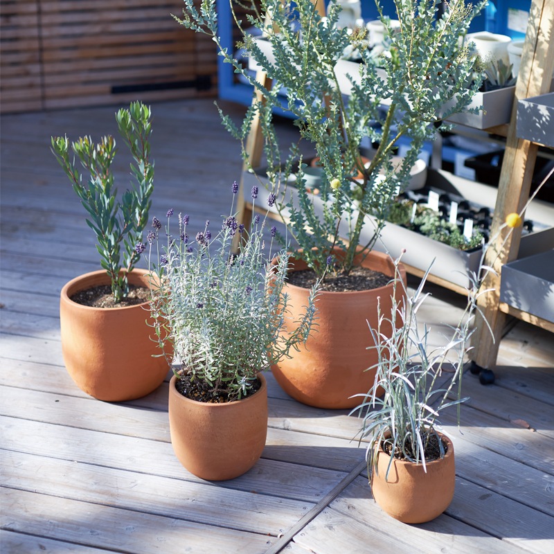 E-45 | テラコッタ | 植木鉢・テラコッタとプランターの通販専門店 | BARGE