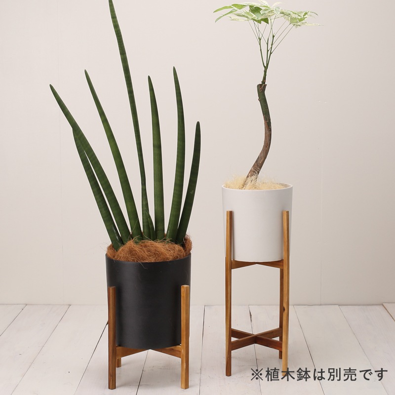 アカシア材 ウッドポットスタンド ガーデンツール 植木鉢 テラコッタとプランターの通販専門店 Barge