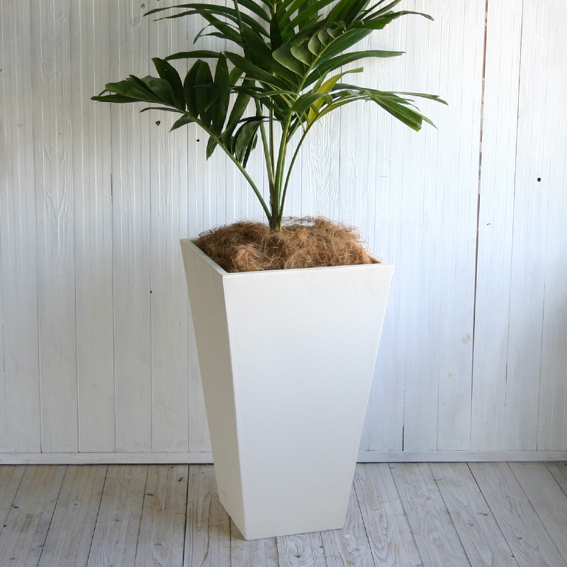 ������ ���������ȡ���ץ�󥿡�