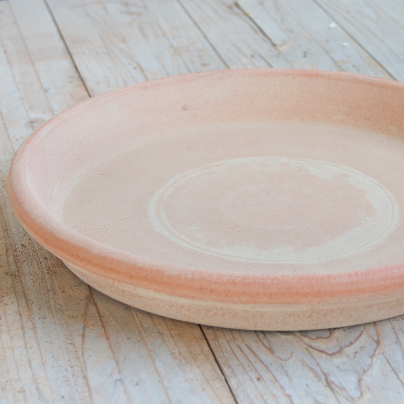 �������� ���꡼��/�ƥ顦G