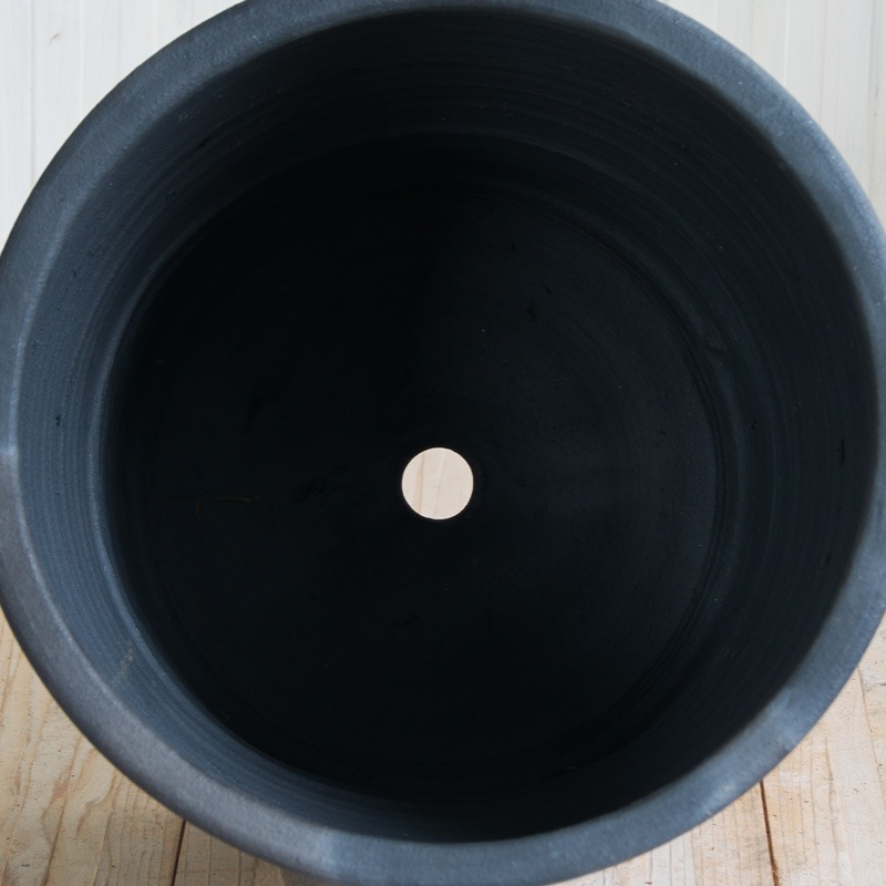 203 ��������