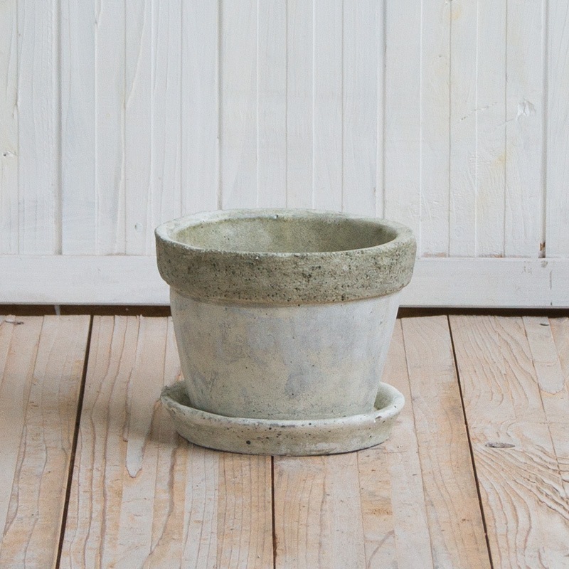 ��� �饦���/�������� �������դ�