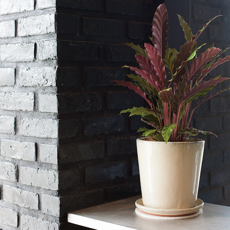 ���� �������դ�