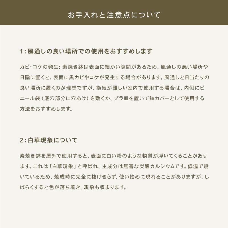 E-BX1