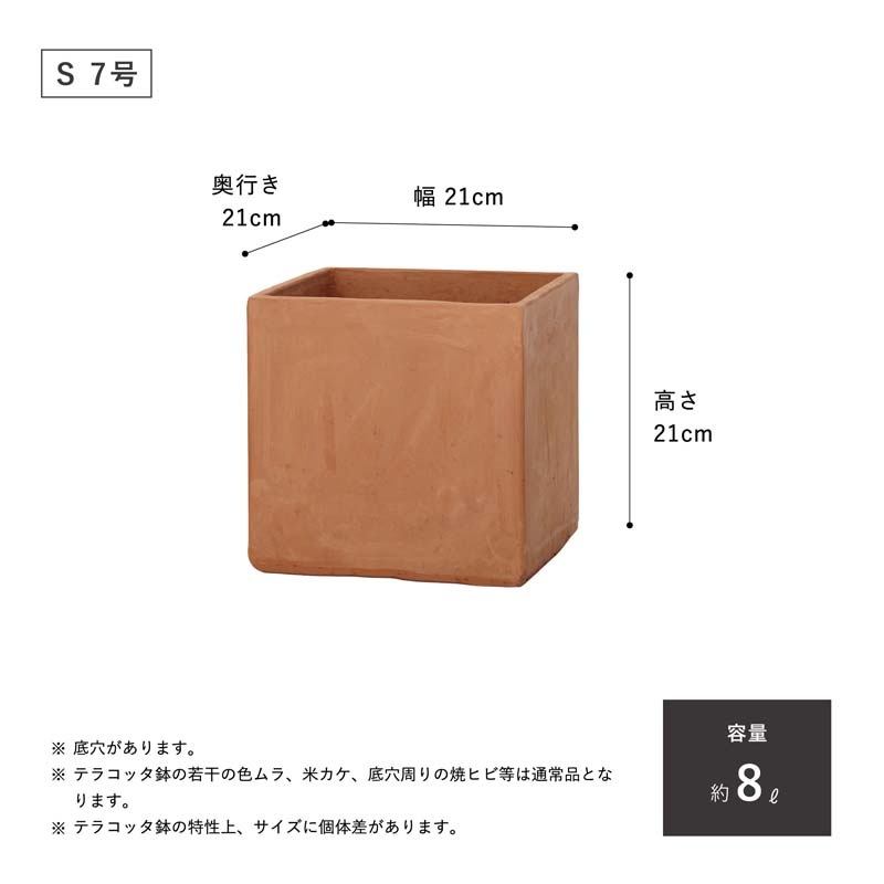E-BX1