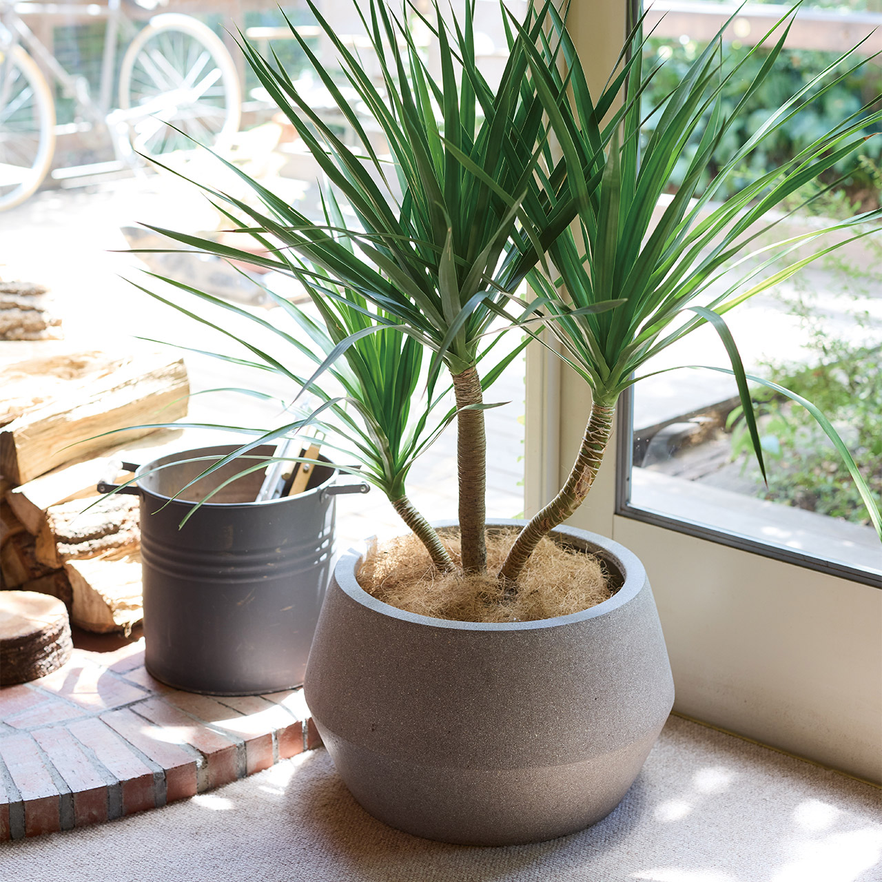 パボ ジャー ロー | モノ・ストーン | 植木鉢・テラコッタとプランター