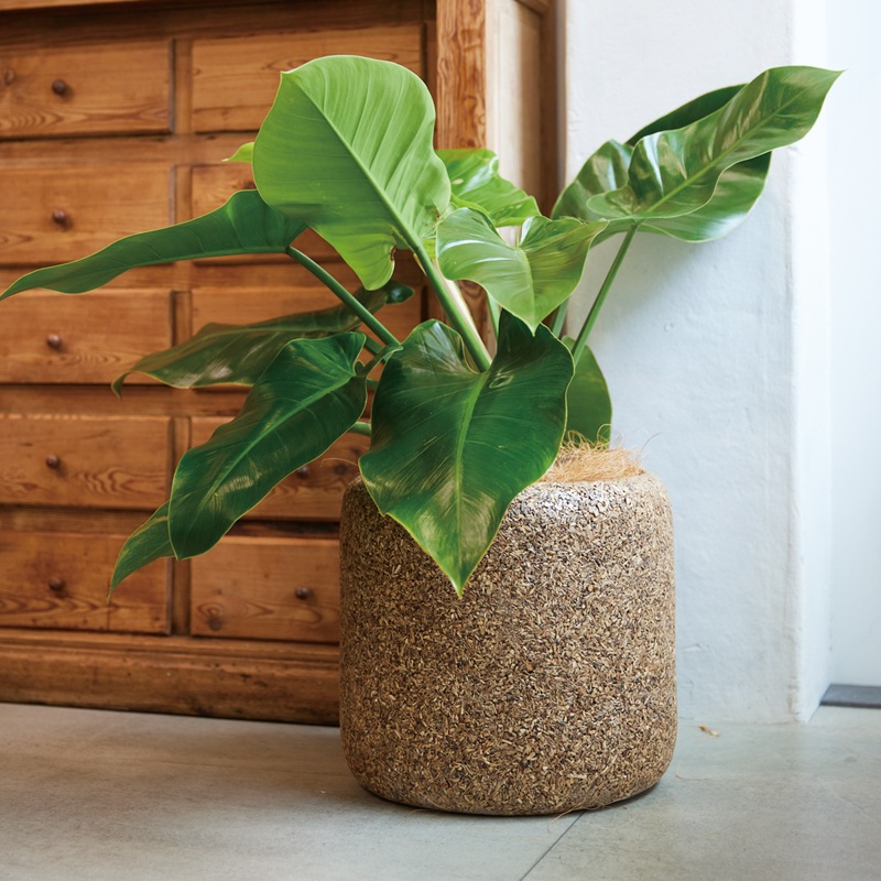 R��������