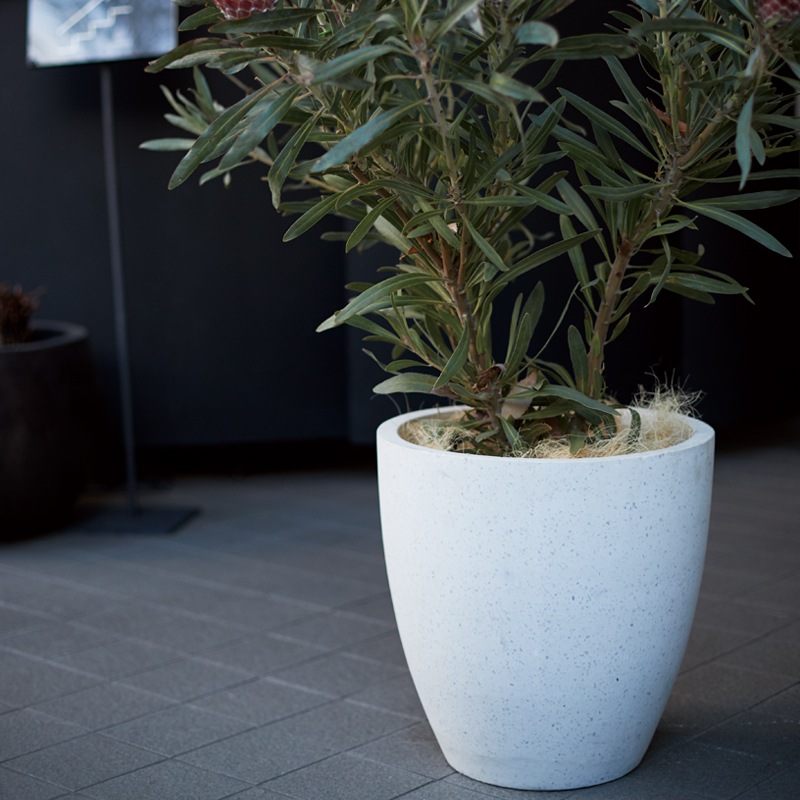 ラウンド | コルテス | 植木鉢・テラコッタとプランターの通販専門店 | BARGE 花・観葉植物用ポット コーテス ラウンド S 30/A グレー（1個入り）ct-101h10e [KTp169] 中型ポット （代引