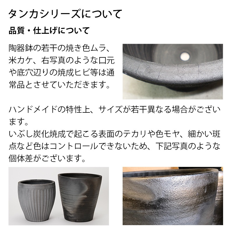 203 ��������