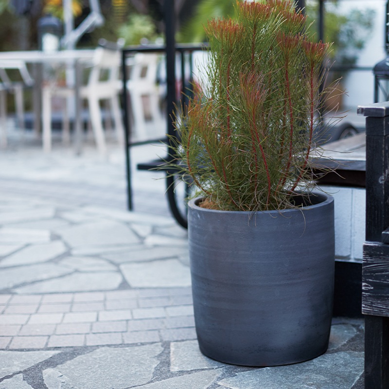 203 ��������