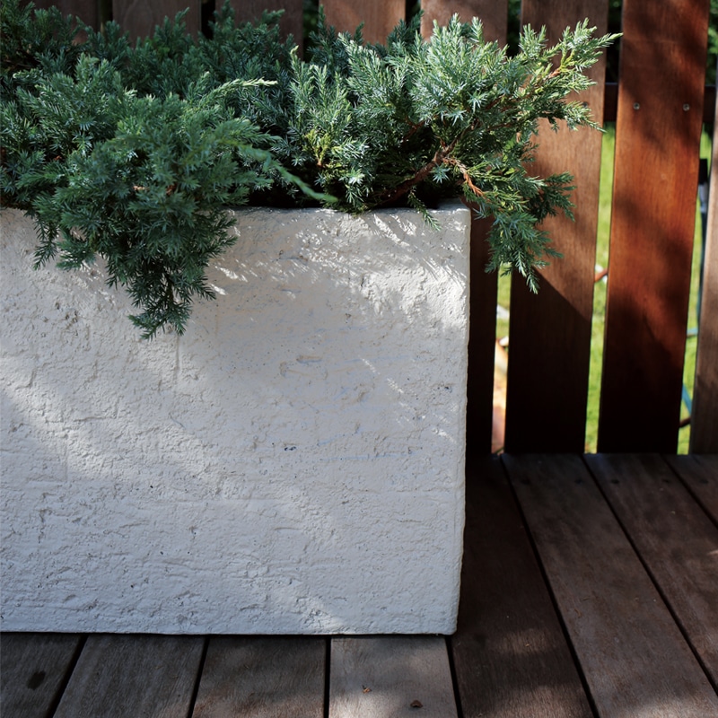 ����������� Ĺ�ѥץ�󥿡� �٥����å�