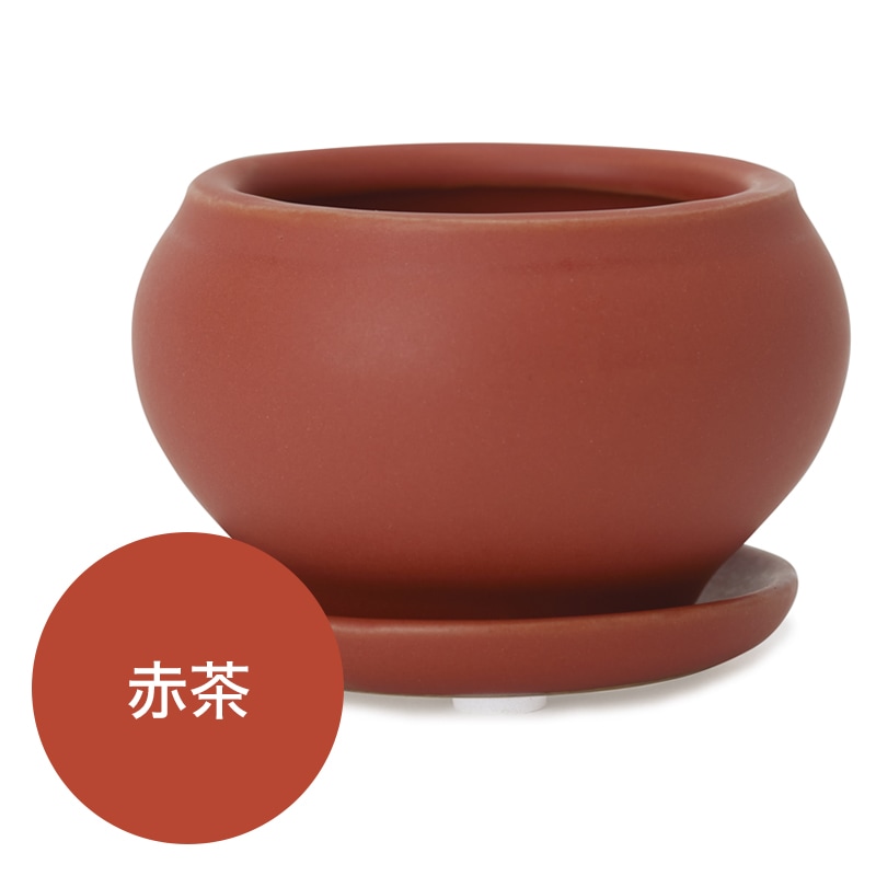 �����ܥ�