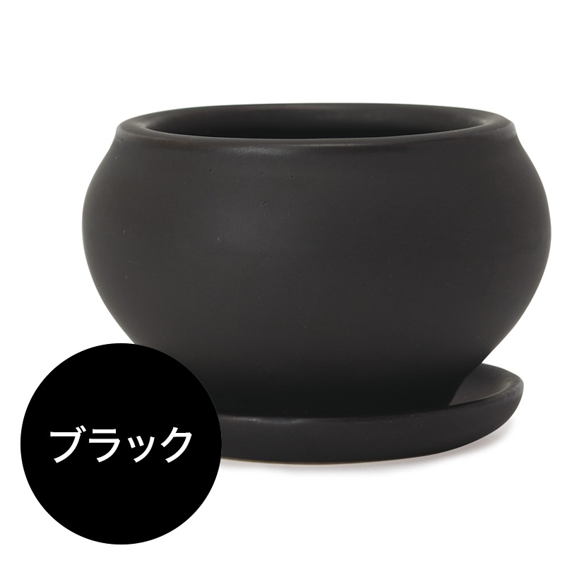 �����ܥ�