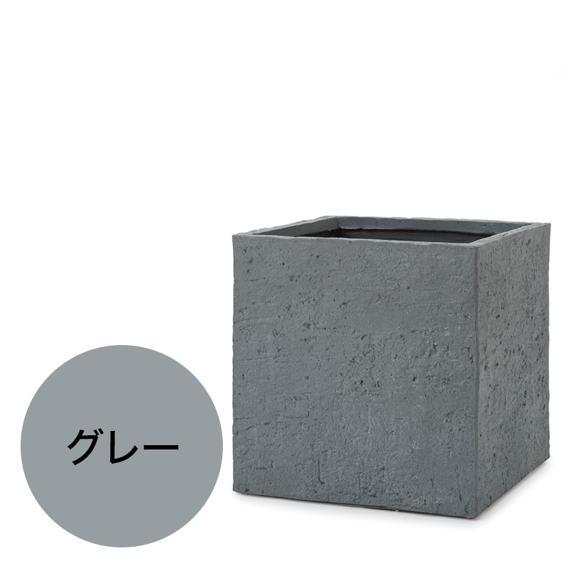 �١��� ���塼�֥ץ�󥿡� �٥����å�