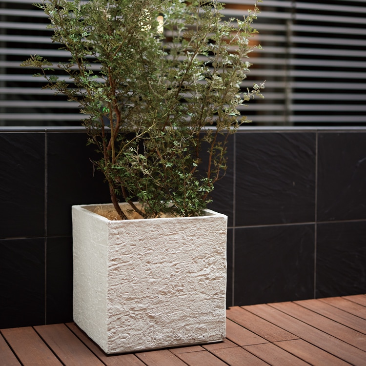 �١��� ���塼�֥ץ�󥿡� �٥����å�