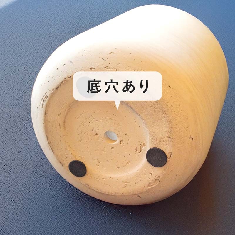 ���å��� �桼�ݥå�