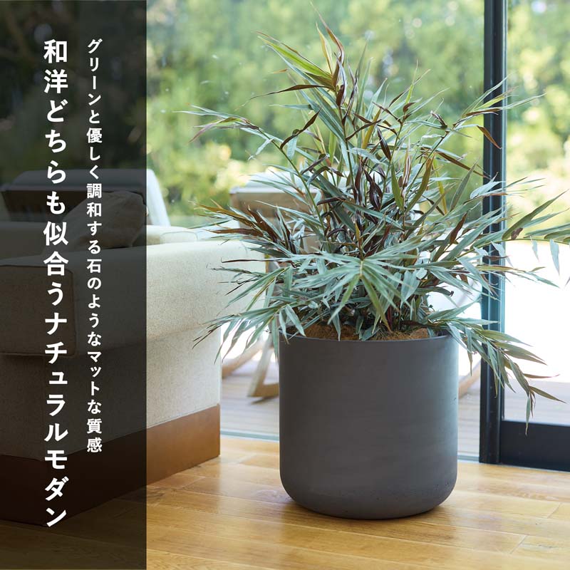 ���å��� �桼�ݥå�