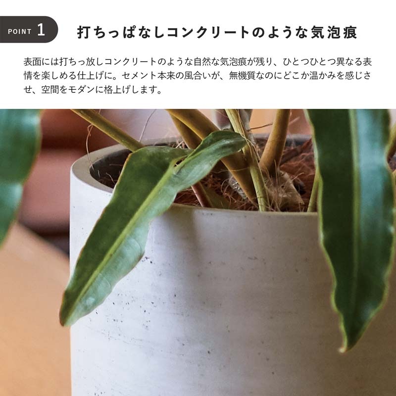 ���å��� �桼�ݥå�