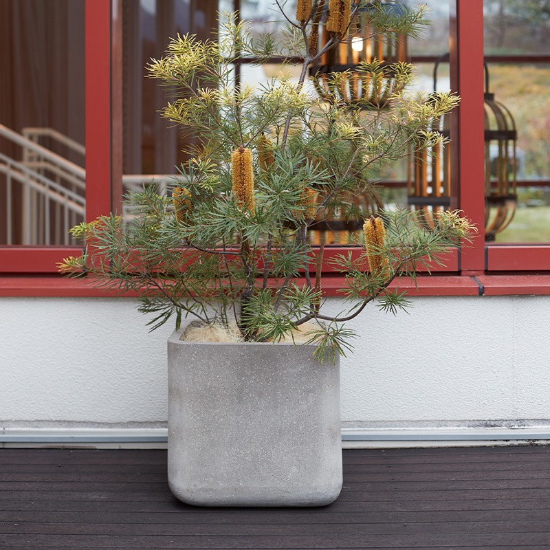 キューブ | コルテス | 植木鉢・テラコッタとプランターの通販