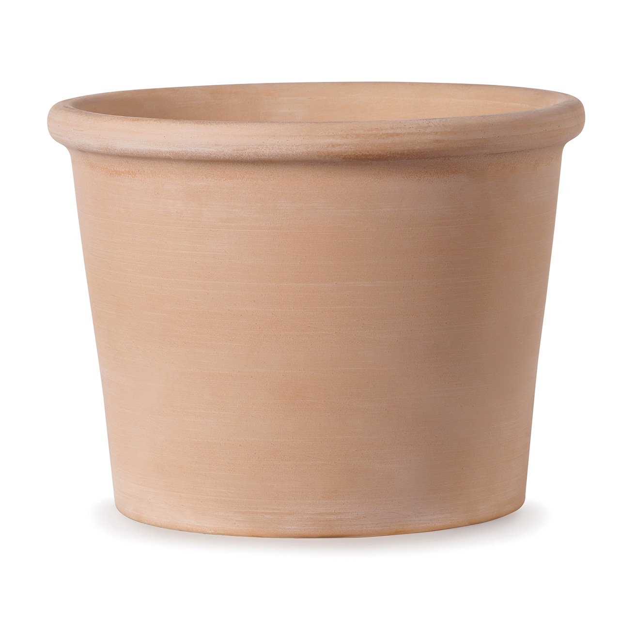 �����ɥ� �ܥ������