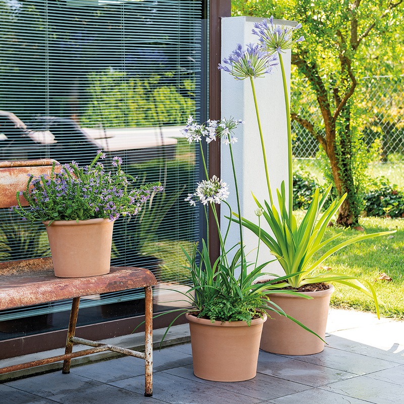 �����ɥ� �ܥ������