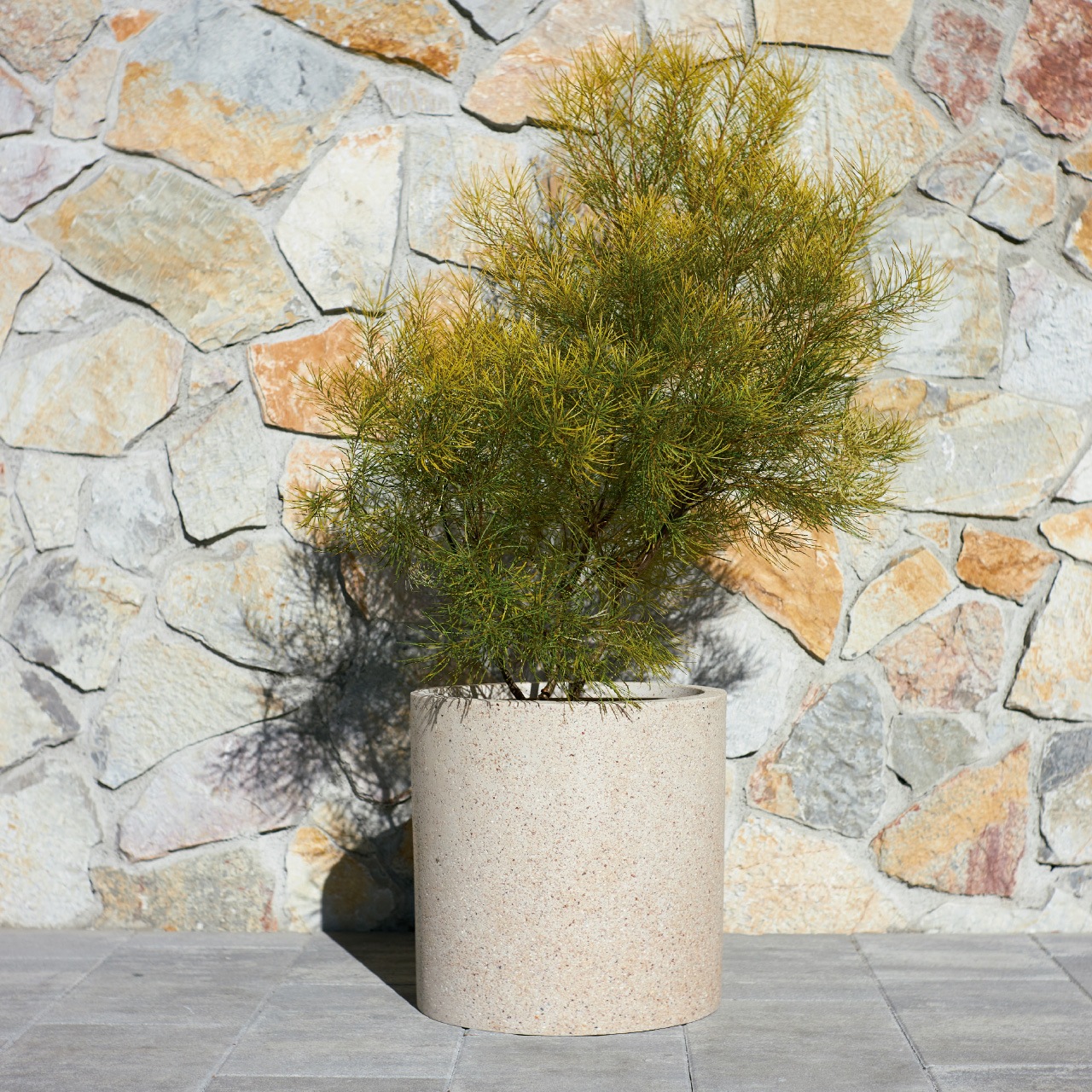 シリンダー | サンディス | 植木鉢・テラコッタとプランターの通販専門