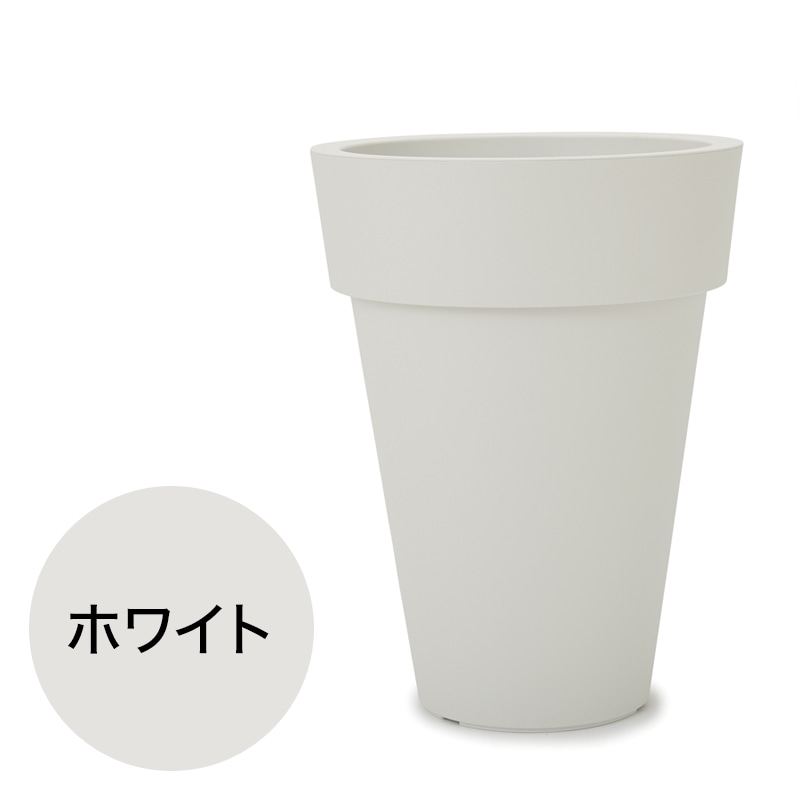 �ץ饹�� TL