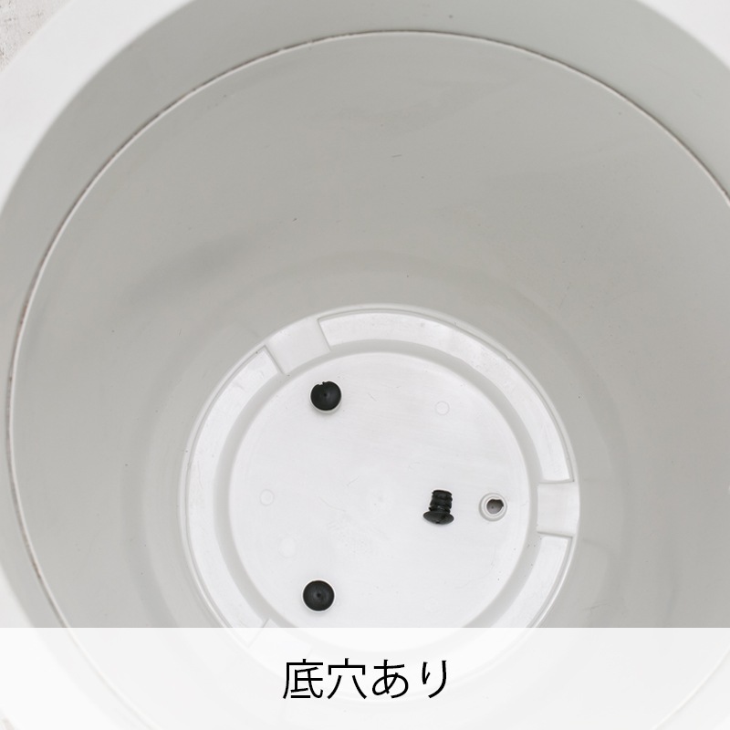 �ץ饹�� TL