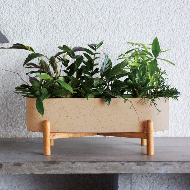 ���֥���