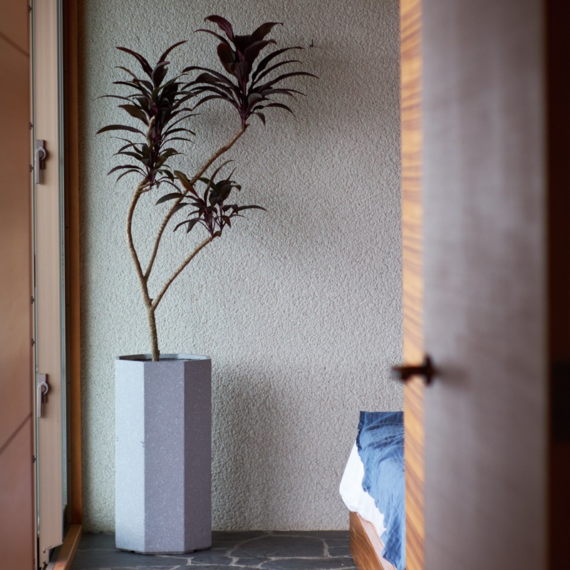 ������ �ȡ��� P �ƥ饾