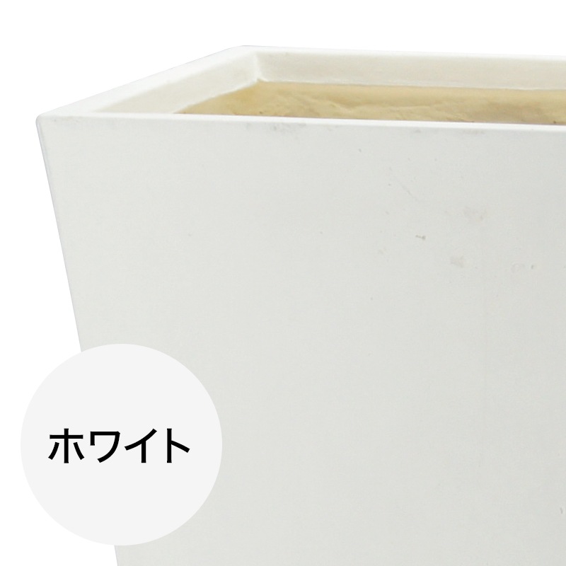 ������ ���������ȡ���ץ�󥿡�