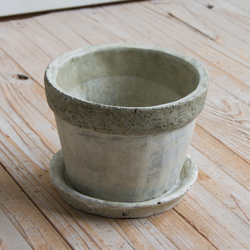 ��� �饦���/�������� �������դ�