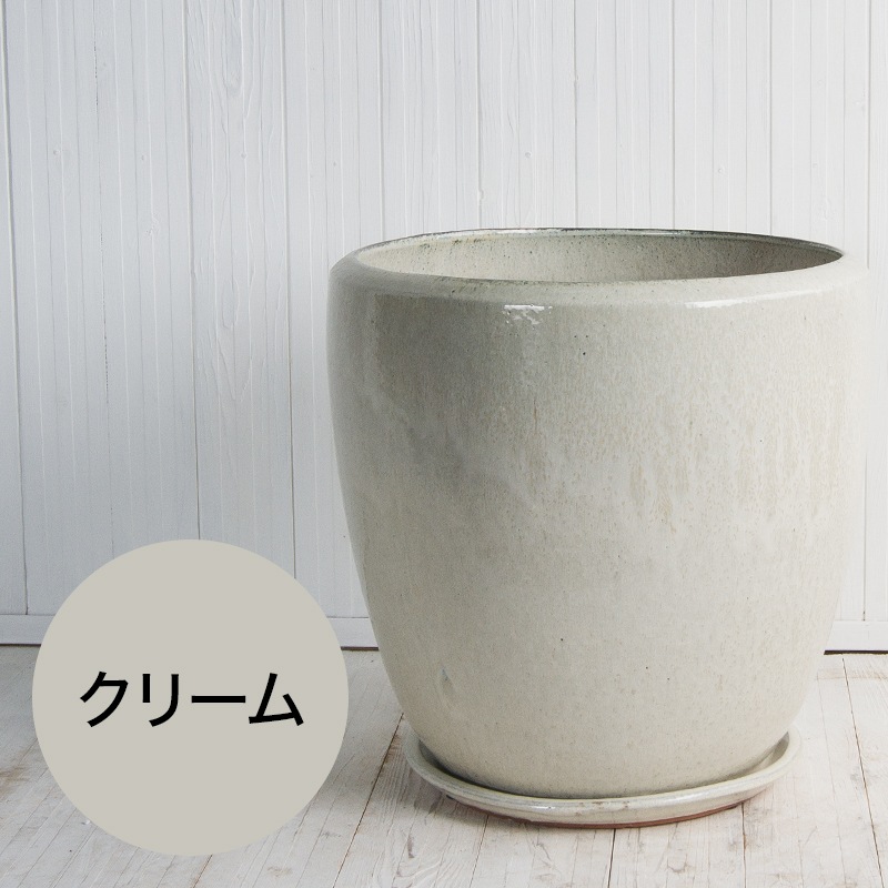 �ɥ��� �������դ�