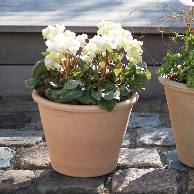 フランス製テラコッタ火鉢(再値下げ済) テラコッタ／植木鉢／素焼鉢】レジスト ラウンド Φ55cm (HH-RS0355)