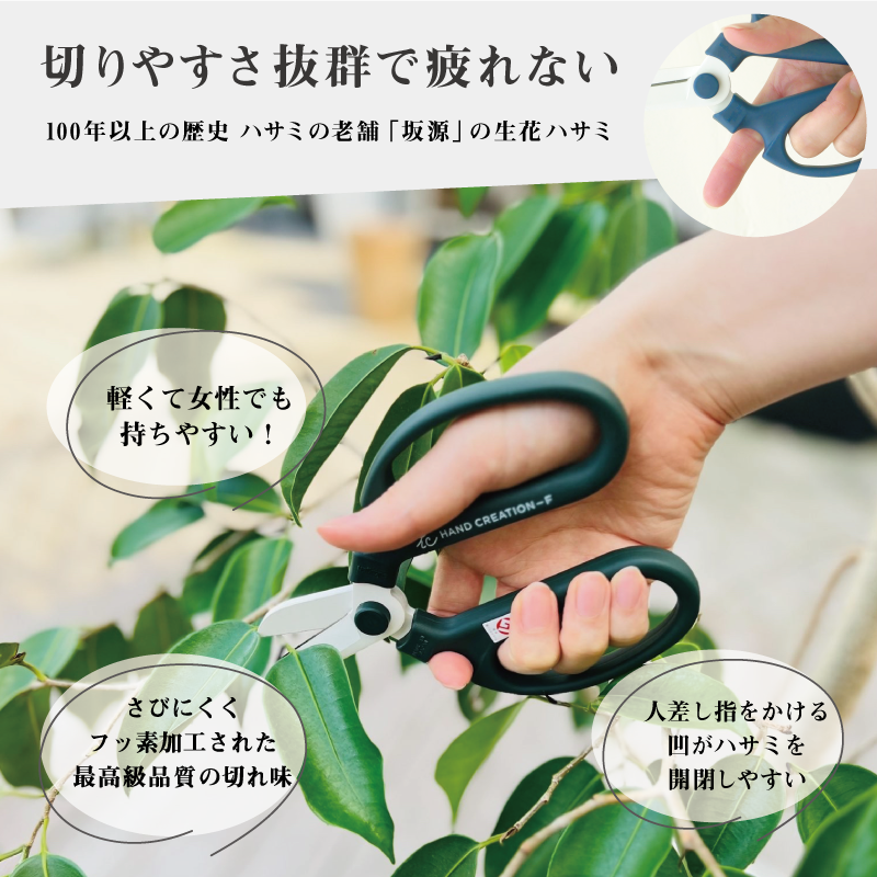 ����Ф��� �ϥ�ɥ��ꥨ�������F170