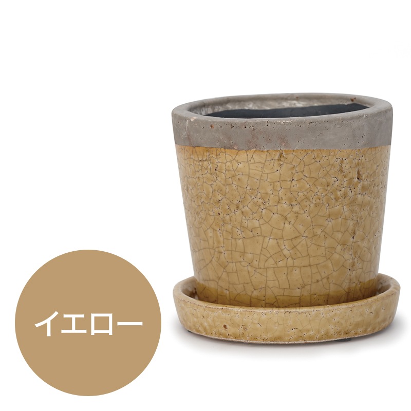 ���꡼�� �������դ�