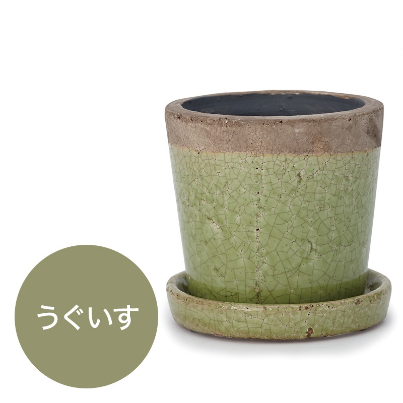 ���꡼�� �������դ�