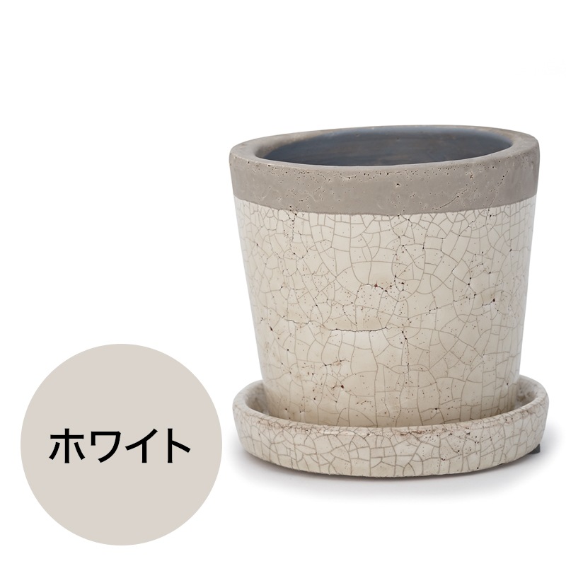 ���꡼�� �������դ�