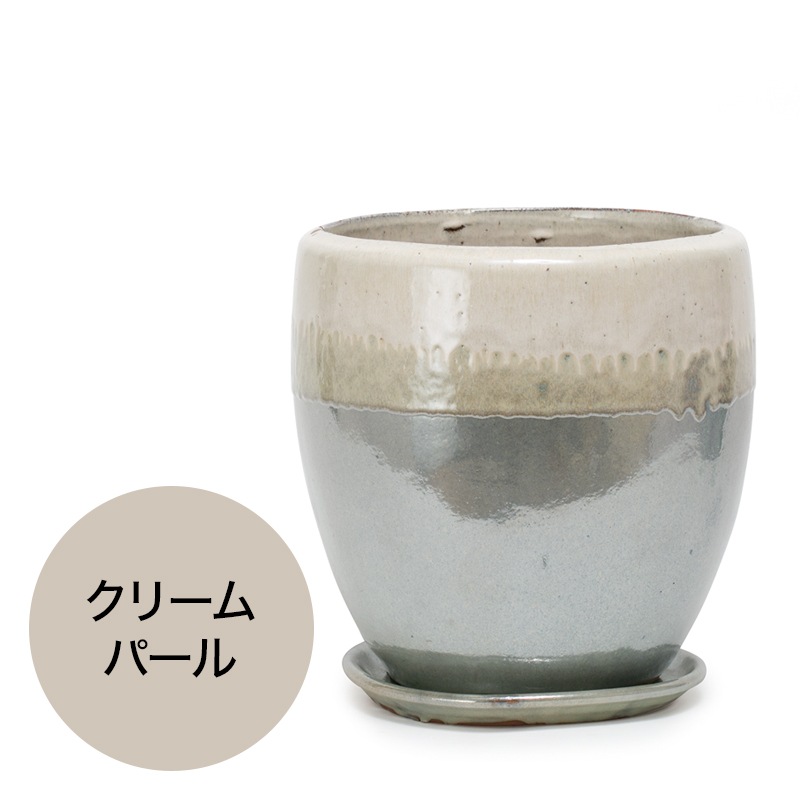 �ɥ��� �������դ�