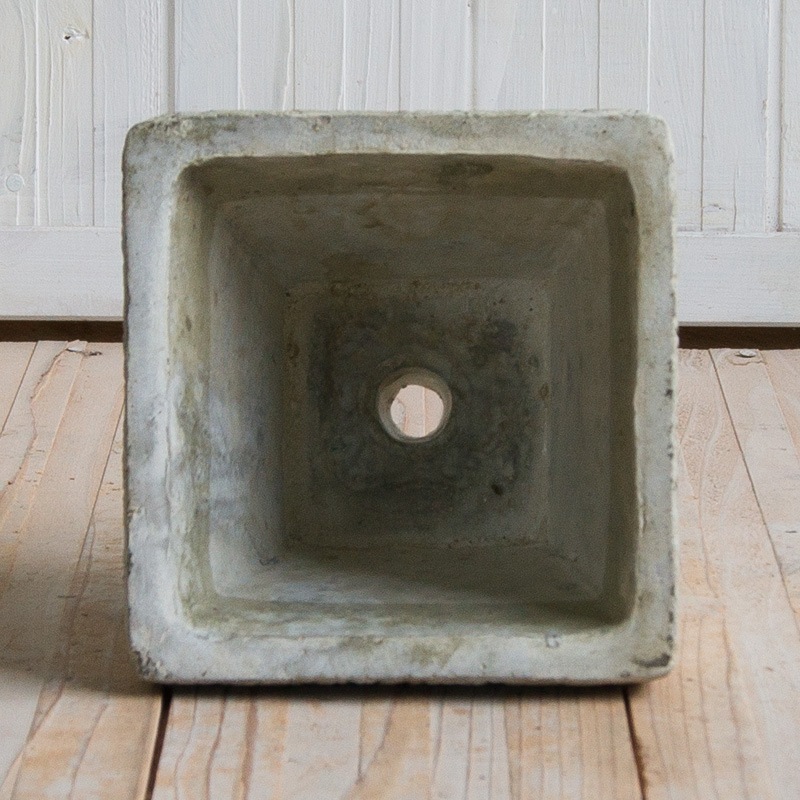 ��� �饦���/�������� �������դ�