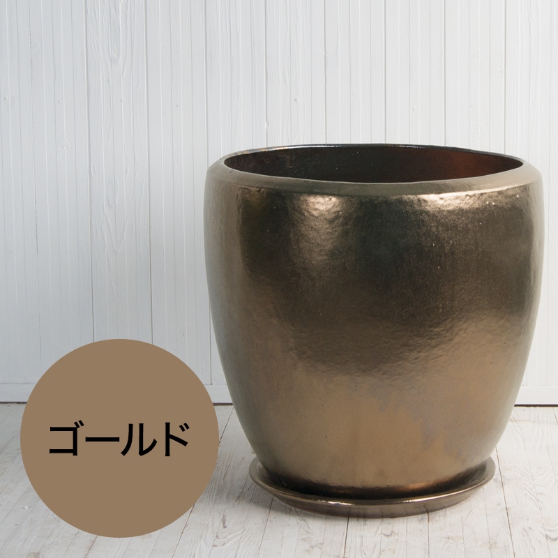 �ɥ��� �������դ�