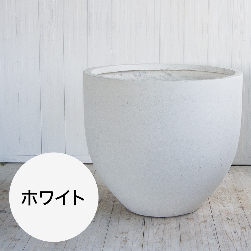 �ߥ奦 �饦��ɥץ�󥿡�