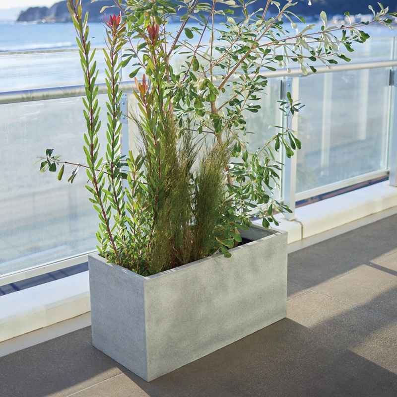 �ꥪ�����