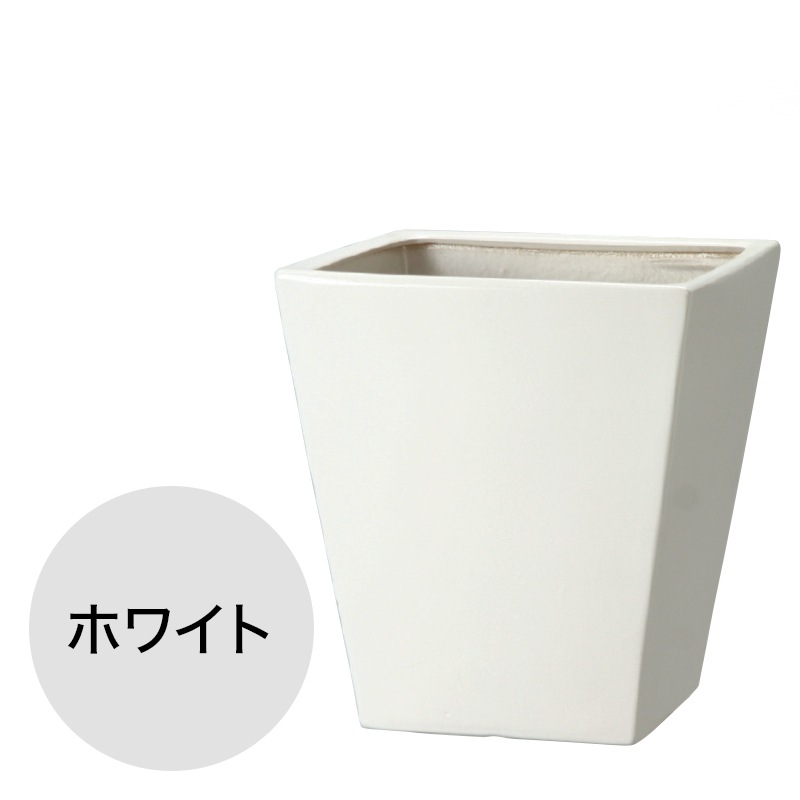 WY10 �ޥå�