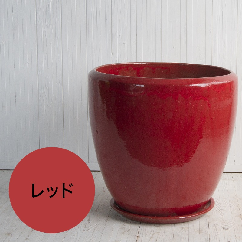 �ɥ��� �������դ�