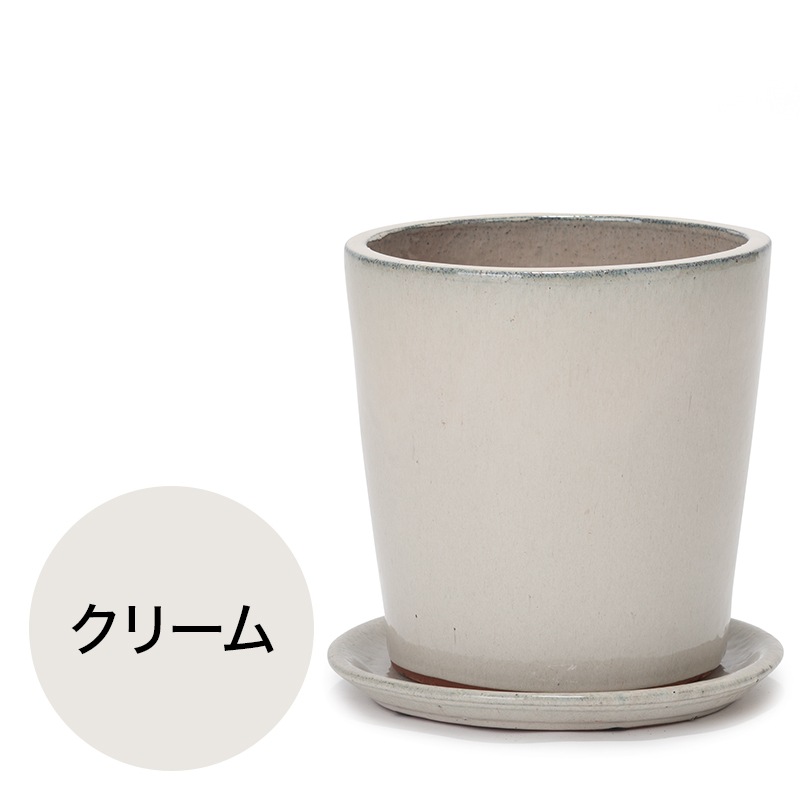 ���� �������դ�