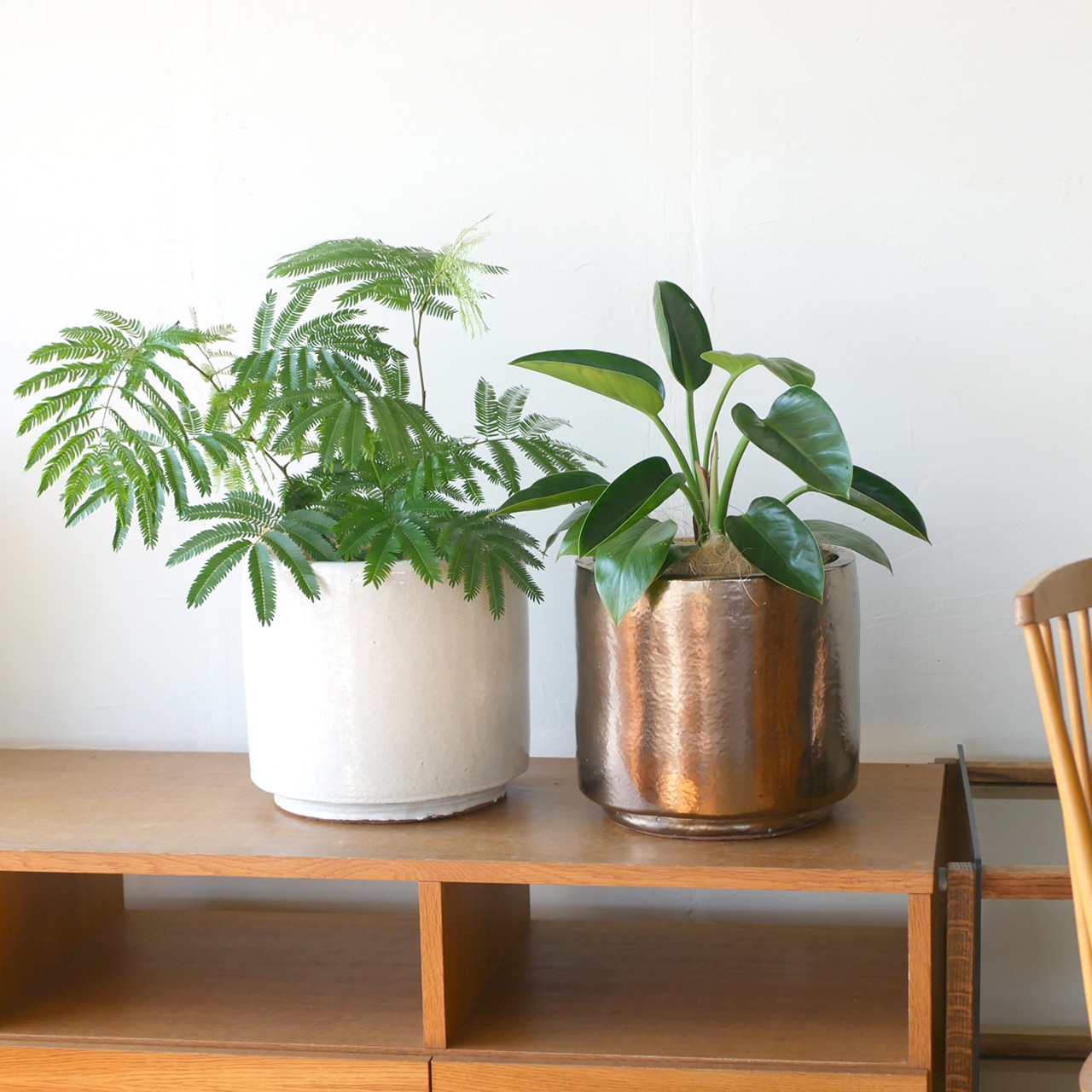 ����ǥ� ����ʡ��ݥå��դ�