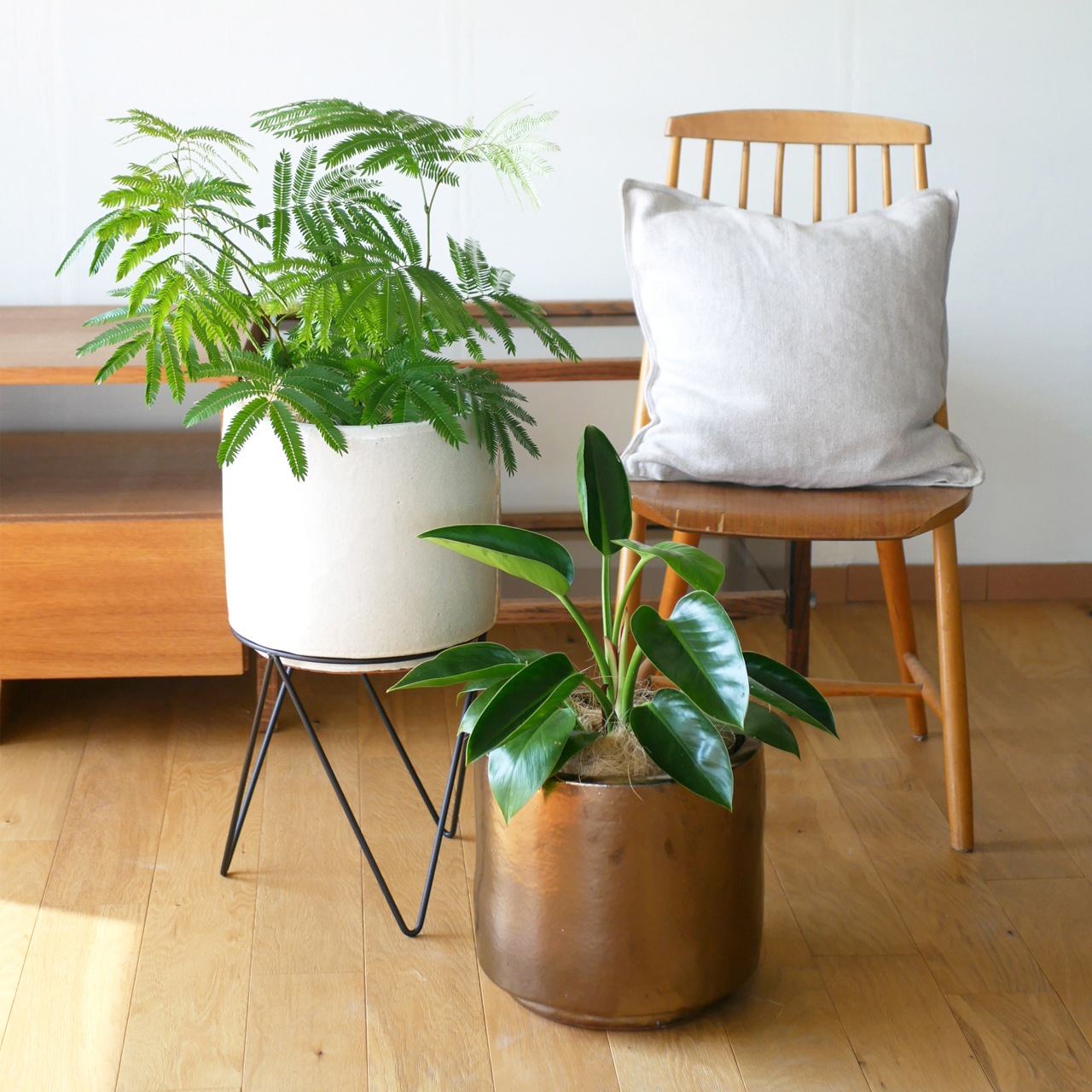 ����ǥ� ����ʡ��ݥå��դ�