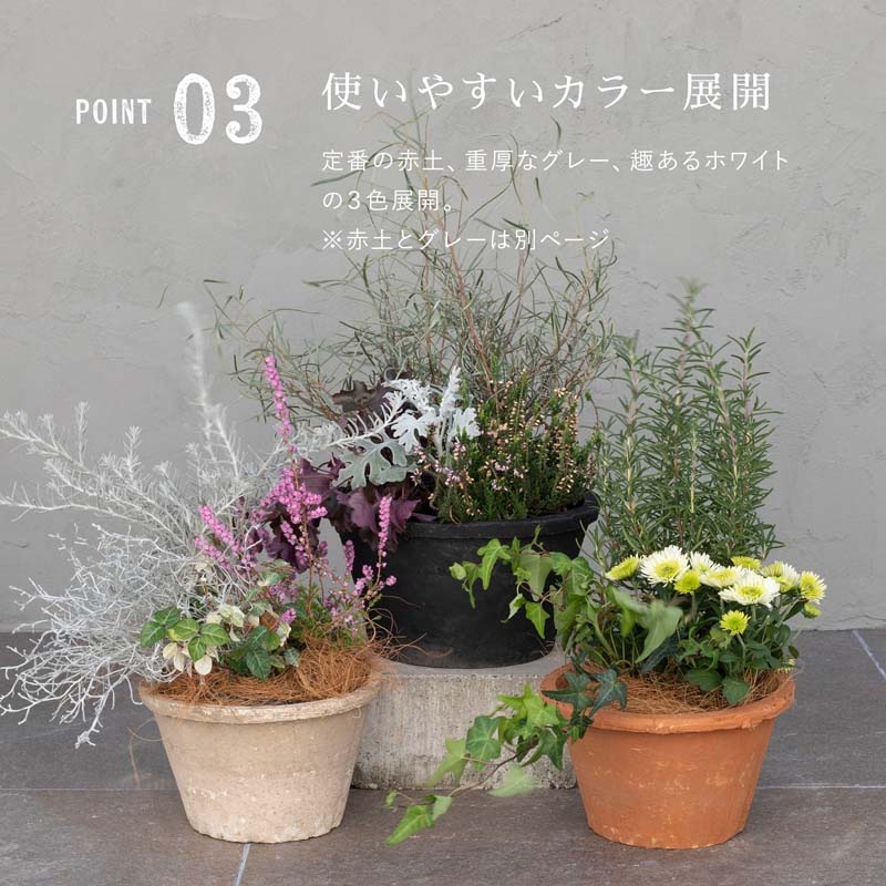 ����������� ����ƥ������ۥ磻��