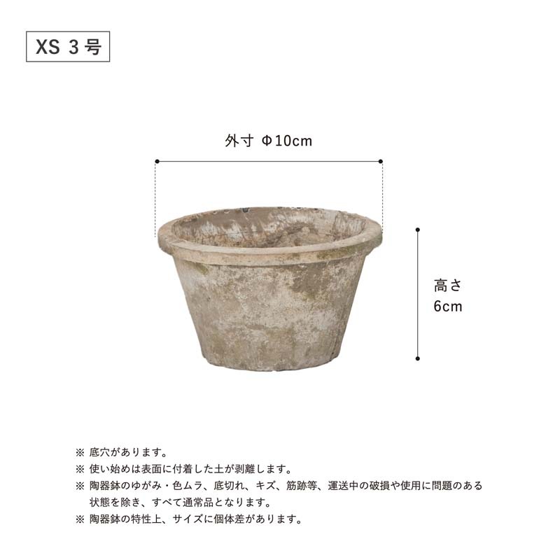 ����������� ����ƥ������ۥ磻��